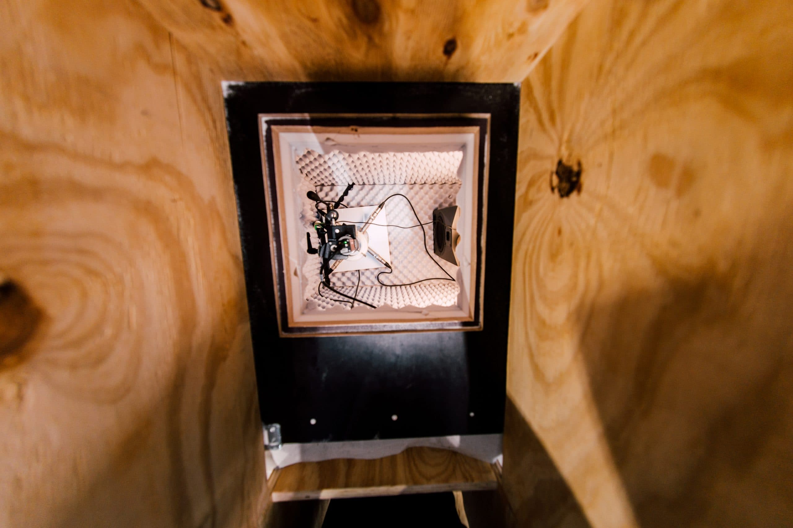 02-damm-sprache_der_fliegen-scaled