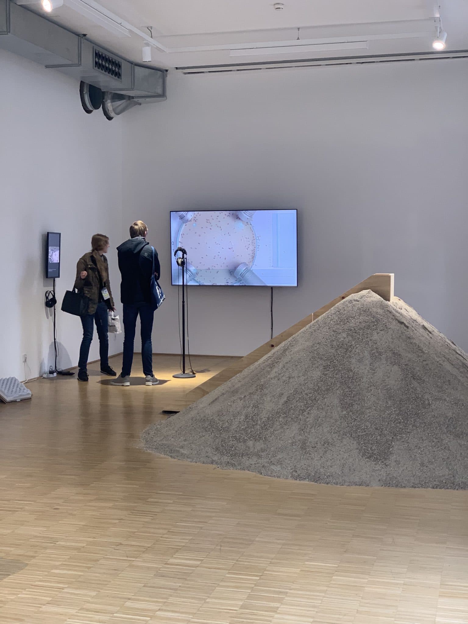 10-damm-sprache_der_fliegen-1536x2048