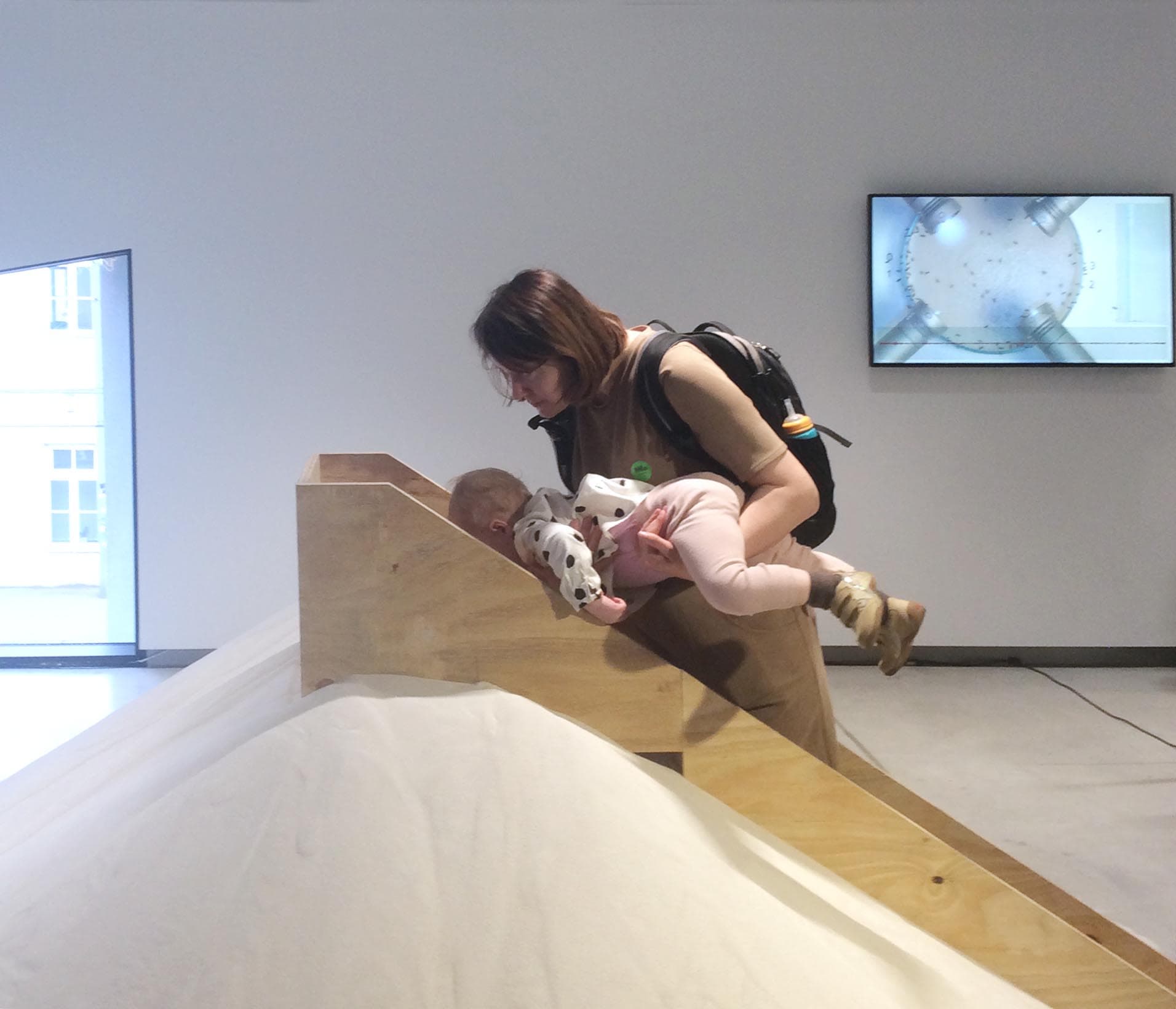 11-damm-sprache_der_fliegen