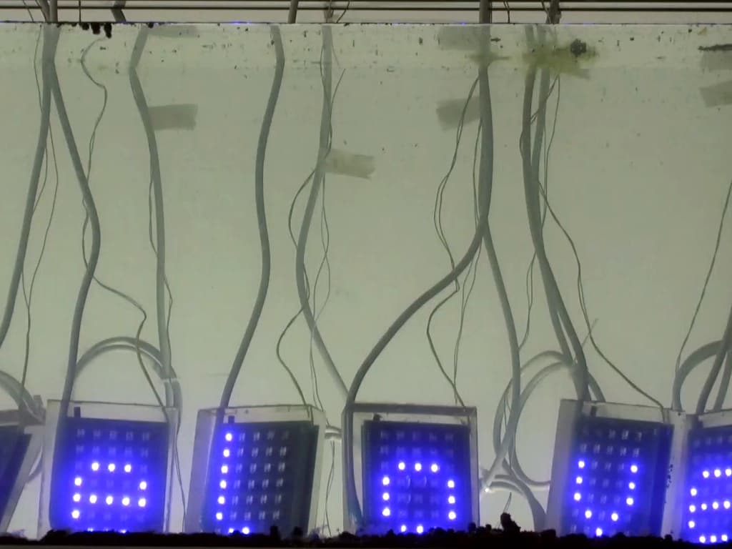 BildschirmaufnahmeTC