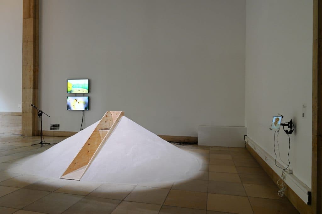 DSC_1155bea2s-1024x681