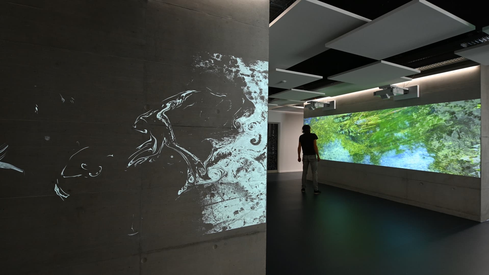 Kontinuum_felix_vor_screen