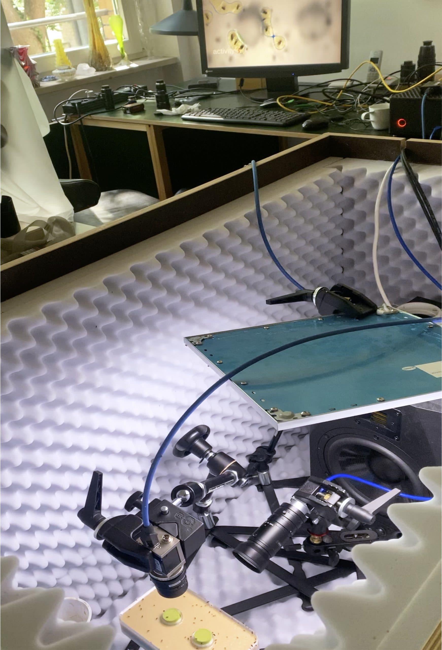 Laboransicht-2-scaled