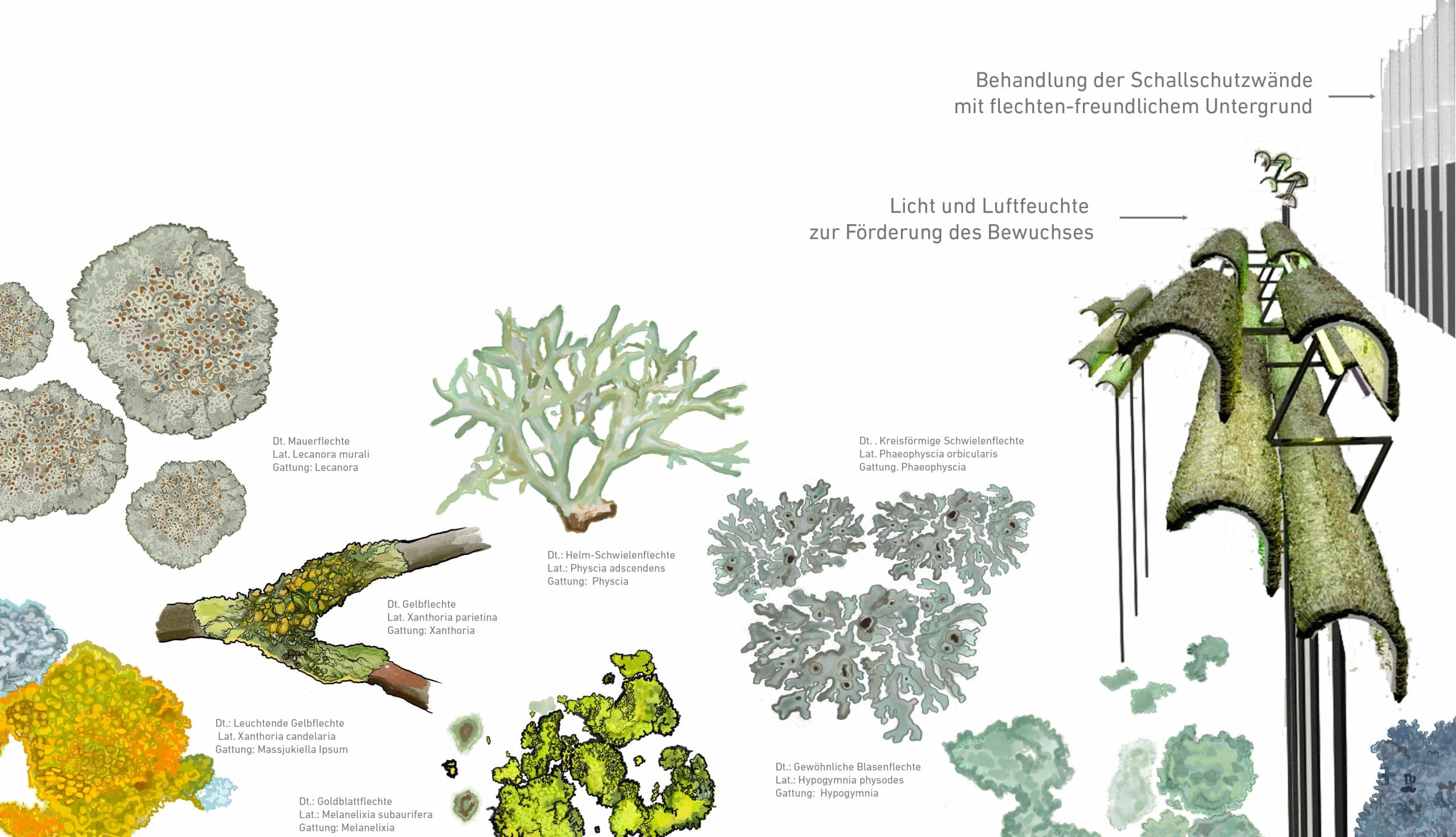 flechtensammlung_2-scaled