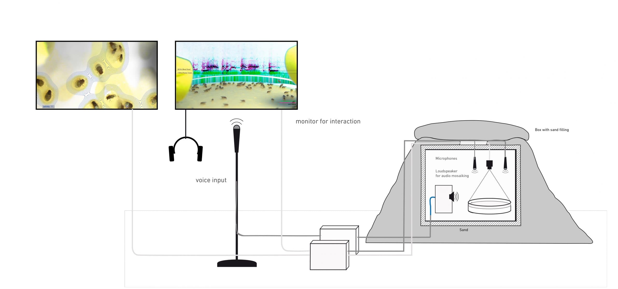 karaoke_schematisch_melanogaster-scaled
